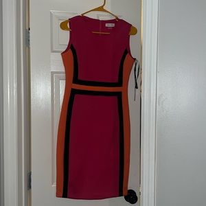 Calvin Klein Colorblock Dress